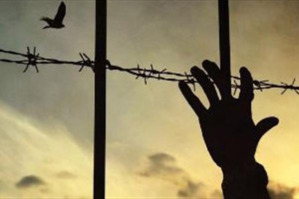 Regarding the wonders of after captivity!