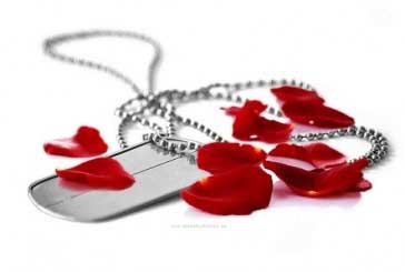 A 70% sacred defense veteran joined his martyr friends A 70% sacred defense veteran joined his martyr friends