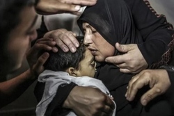 Al-Azhar Condemns Global Silence on Gaza Crisis, Calls for Immediate Humanitarian Action
Political