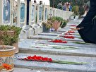 تصاویر/ «مهمانی لاله‌ها» در گلستان شهدای اصفهان