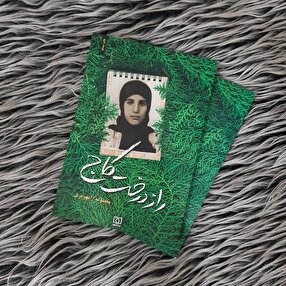 کتاب «راز درخت کاج» به چاپ بیست و ششم رسید