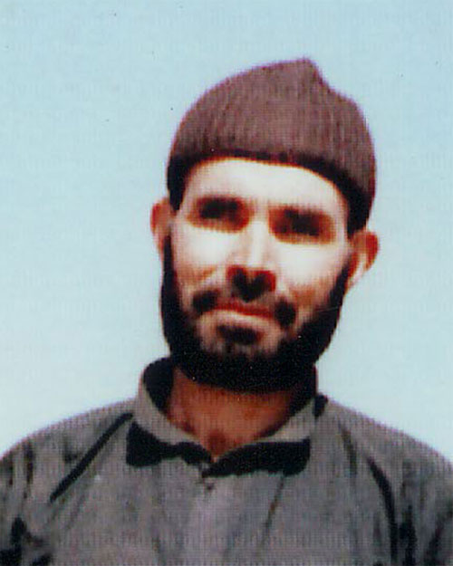 ملک محمد آدینه وند