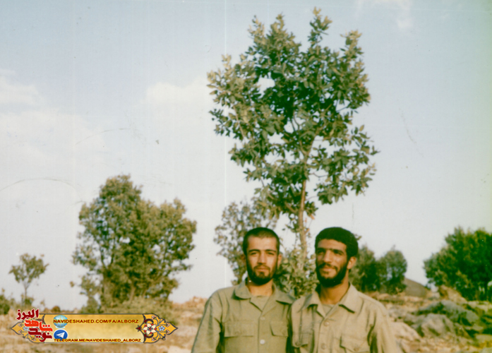  علی رضا آملی 